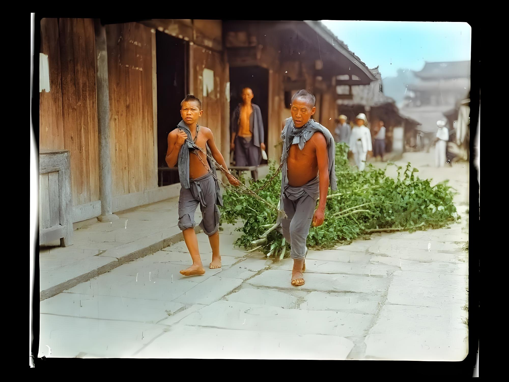 囚犯正在拉木枝，拍摄地：四川达州（1917-1919）