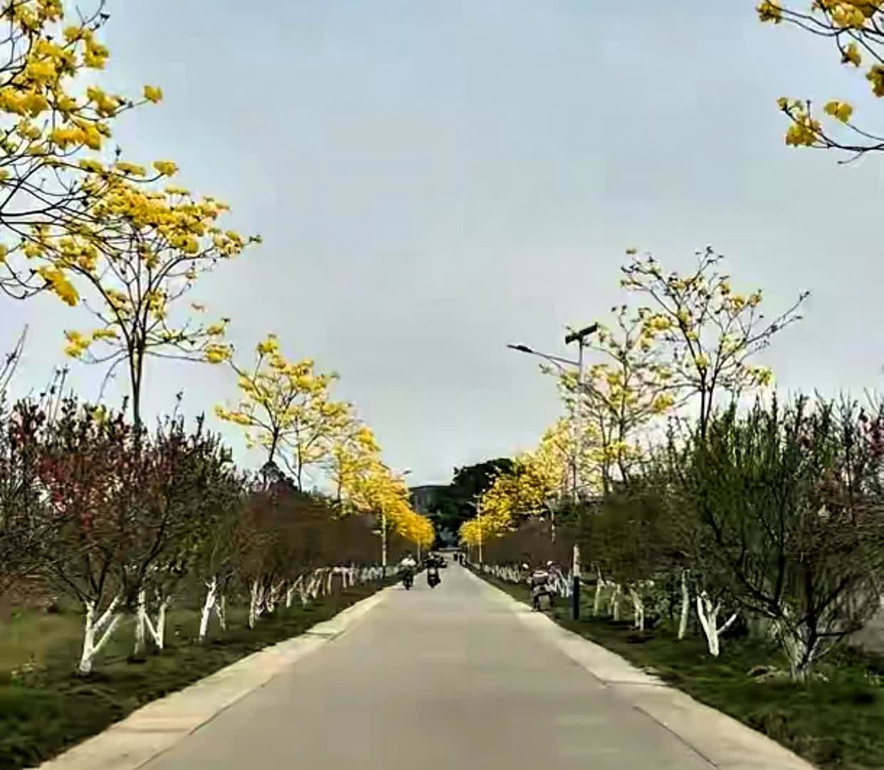 五一出行，为了大家的安全起见，给车主们几点启示:

1、如果没什么急事，尽量