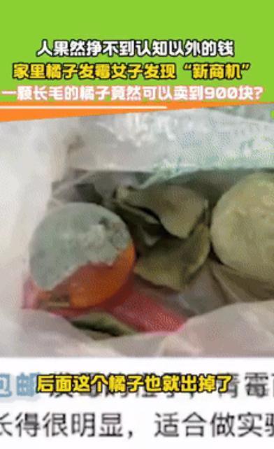 “简直是赚翻了！”3月份，山东，一女子在家中发现了新商机，那就是完全发霉变绿的橘