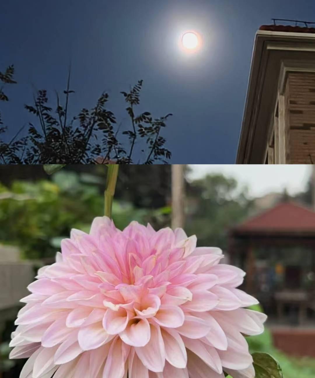 这个婆娑的世界里，幸福，没有固定公式。
饿了，吃饱了就是幸福。牙疼的时候，当牙不