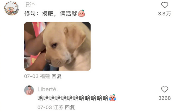 被迫营业的小拉