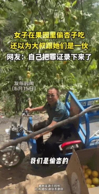 谁能想到！偷杏被主人撞个正着，近日一女子发文，表示自己在偷杏时，遇到一位大爷问他