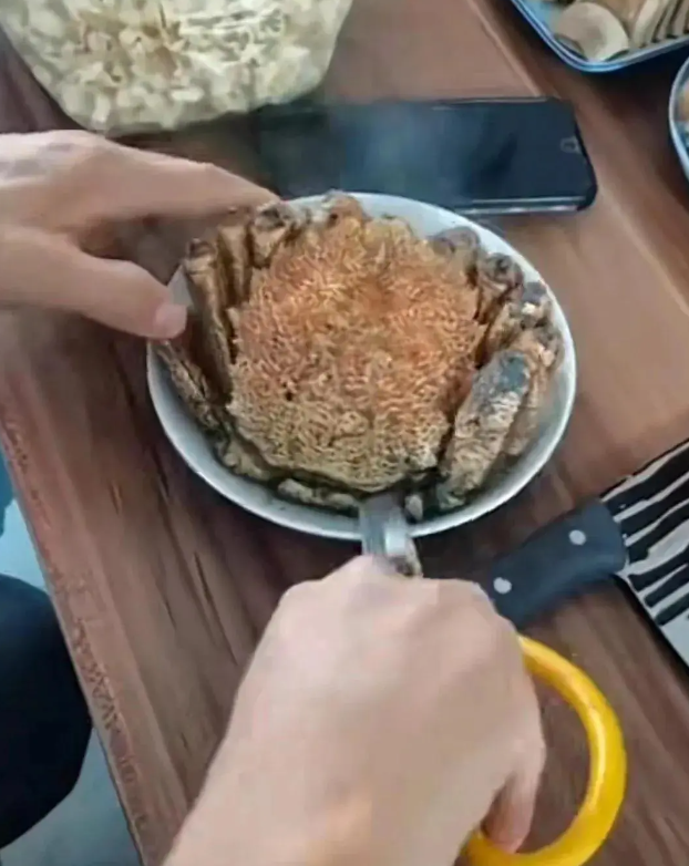 我把主播当家人，主播拿我当憨包
