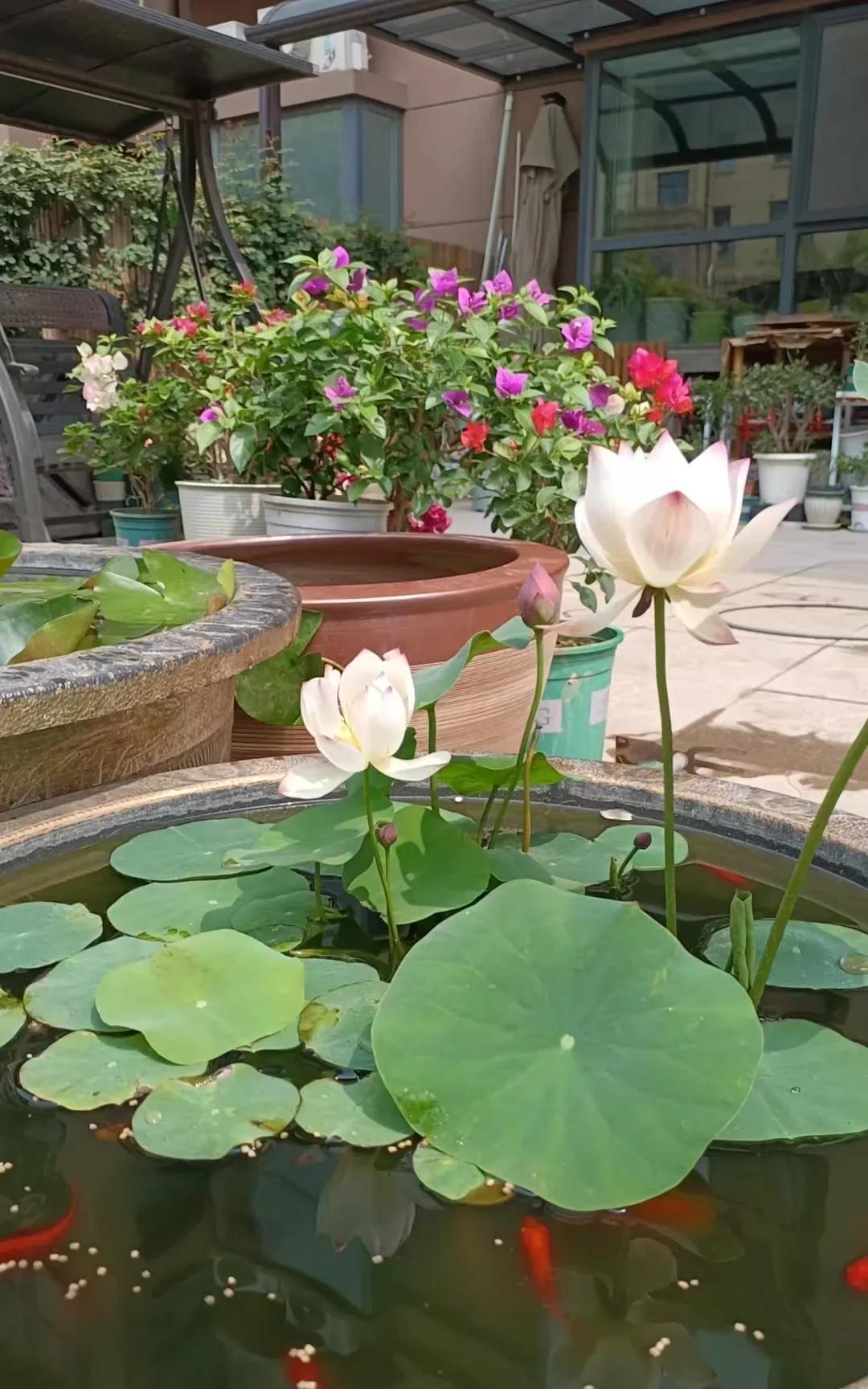 #嫁人到底要看家境还是人品#我和丈夫结婚时他一穷二白
我父母反对
但我依然选择他