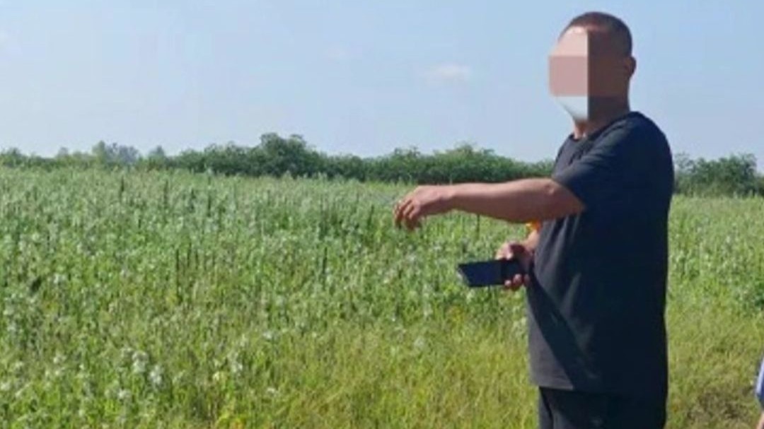 #男子盗挖8400吨膨润土获刑
 
有人竟敢在自家租来的良田底下，疯狂挖走 84