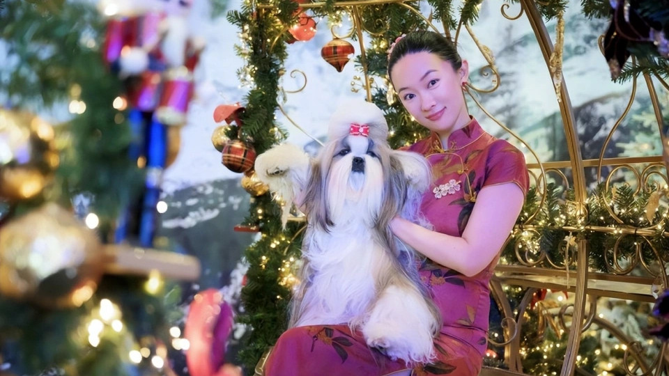 霍思燕带中国西施犬国际夺冠，杜江连发3个“唯一”狂喜：开心疯了！