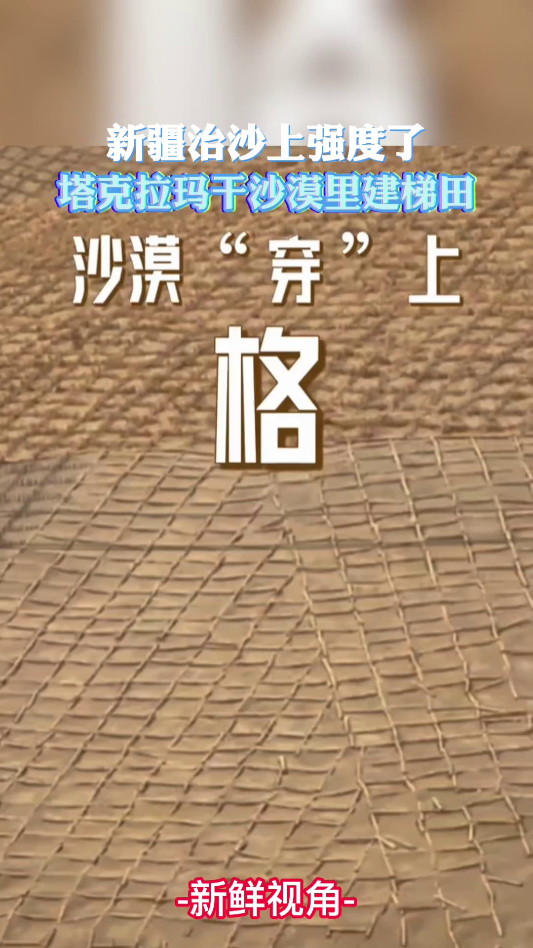 新疆治沙上强度了，塔克拉玛干沙漠里建梯田