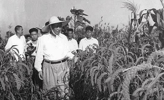 1959年，秘书告诉毛主席，有人偷东西，不料毛主席却说：别出声！
新中国成立后，