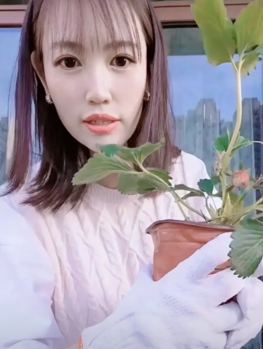 王宝强的前妻马蓉，有网友爆料称她如今的生活过得颇为落魄。据说她当初移民花费的15