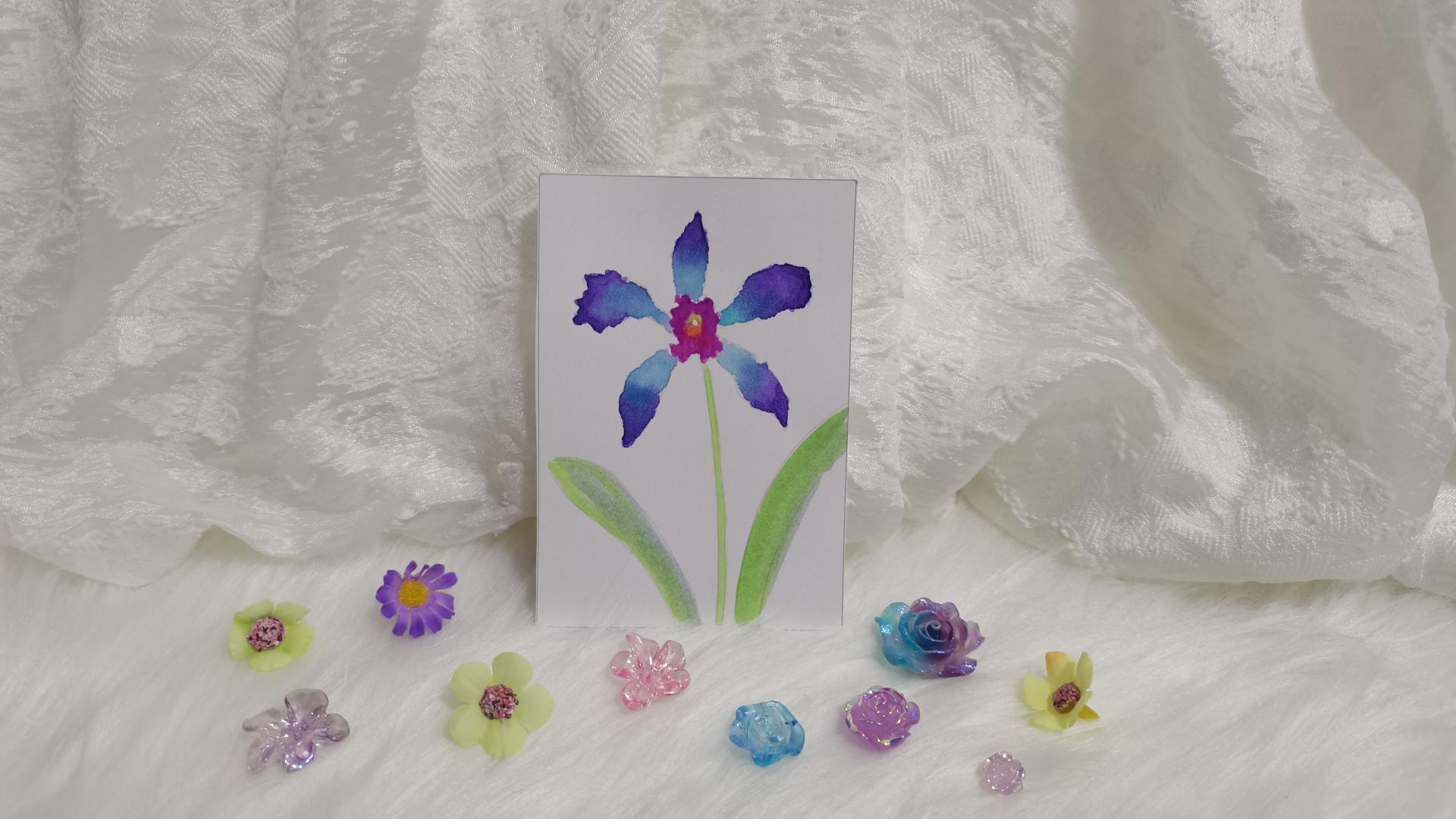 04 卡特兰（绘画 水彩 果花甘06）