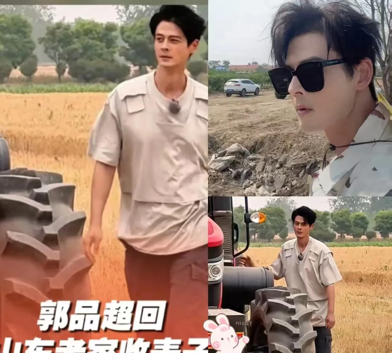 原来真的有人会因为一句“麦子熟了”
直接放弃娱乐圈的镁光灯，
一头扎进金黄麦浪里