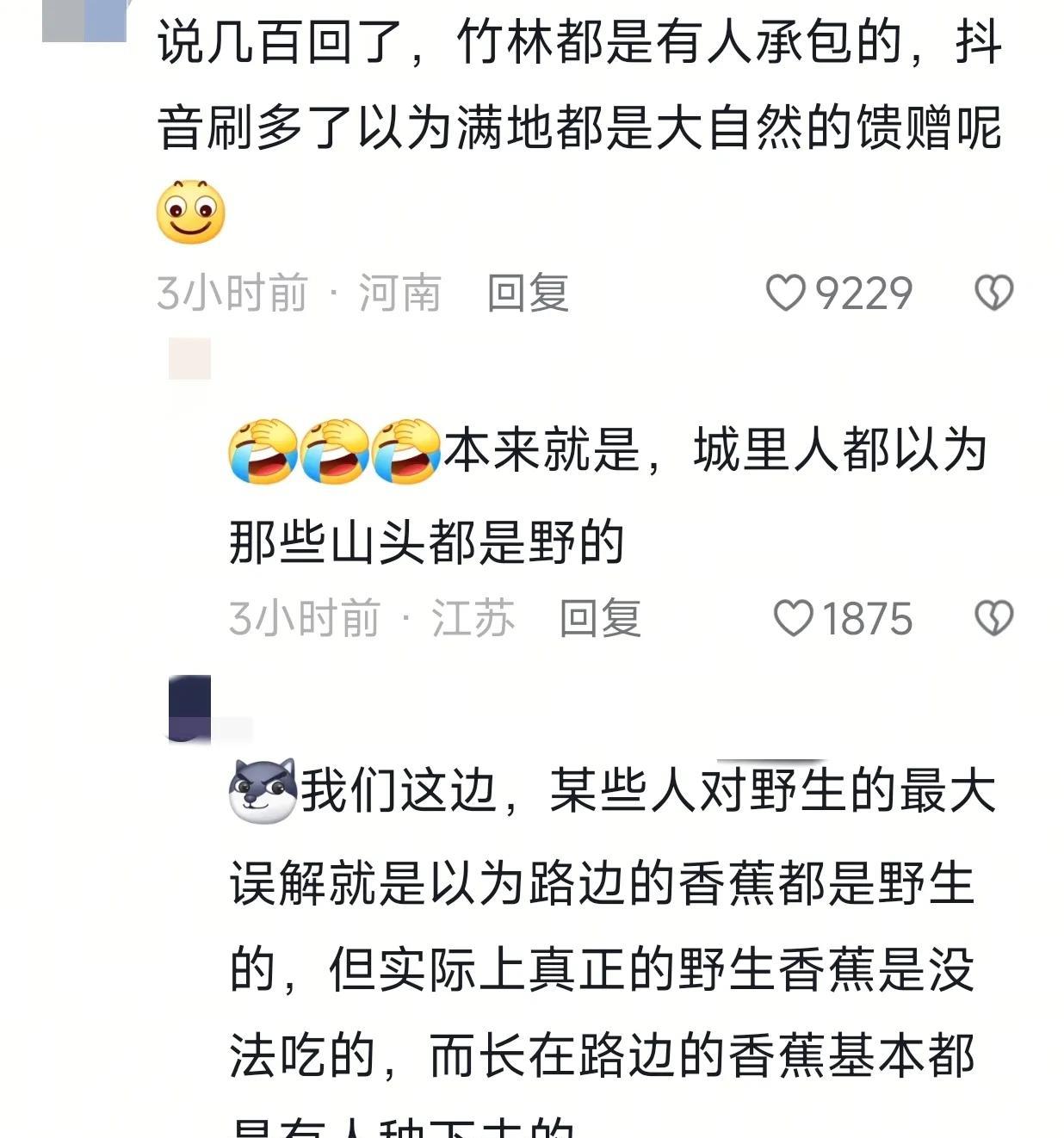 某些博主能不能别误导别人了，
农村的鸡鸭都是有主人的，竹林也是有人承包的！
起因