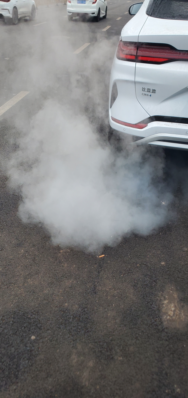 hev排气筒冒白烟,有烧焦的味道
车子一个多月，平时都是EV模式在开。
最近几天