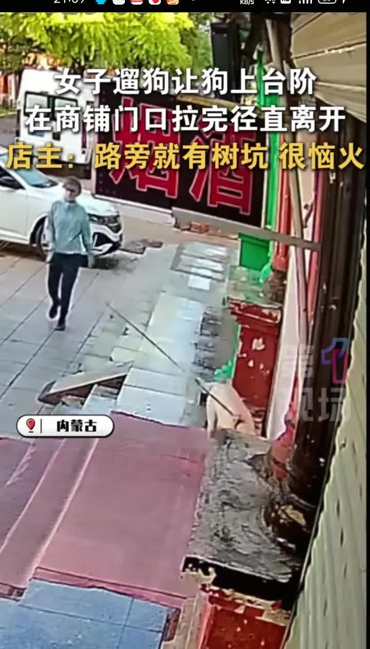 8月18日，锡盟锡林浩特市。网友晒视频称，一位穿着防晒衣的女子遛狗让狗上台阶，在