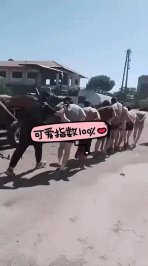 叙利亚南部苏韦达，朱拉尼的HTS政府军大规模开进支持当地贝都因部落，当地德鲁兹武