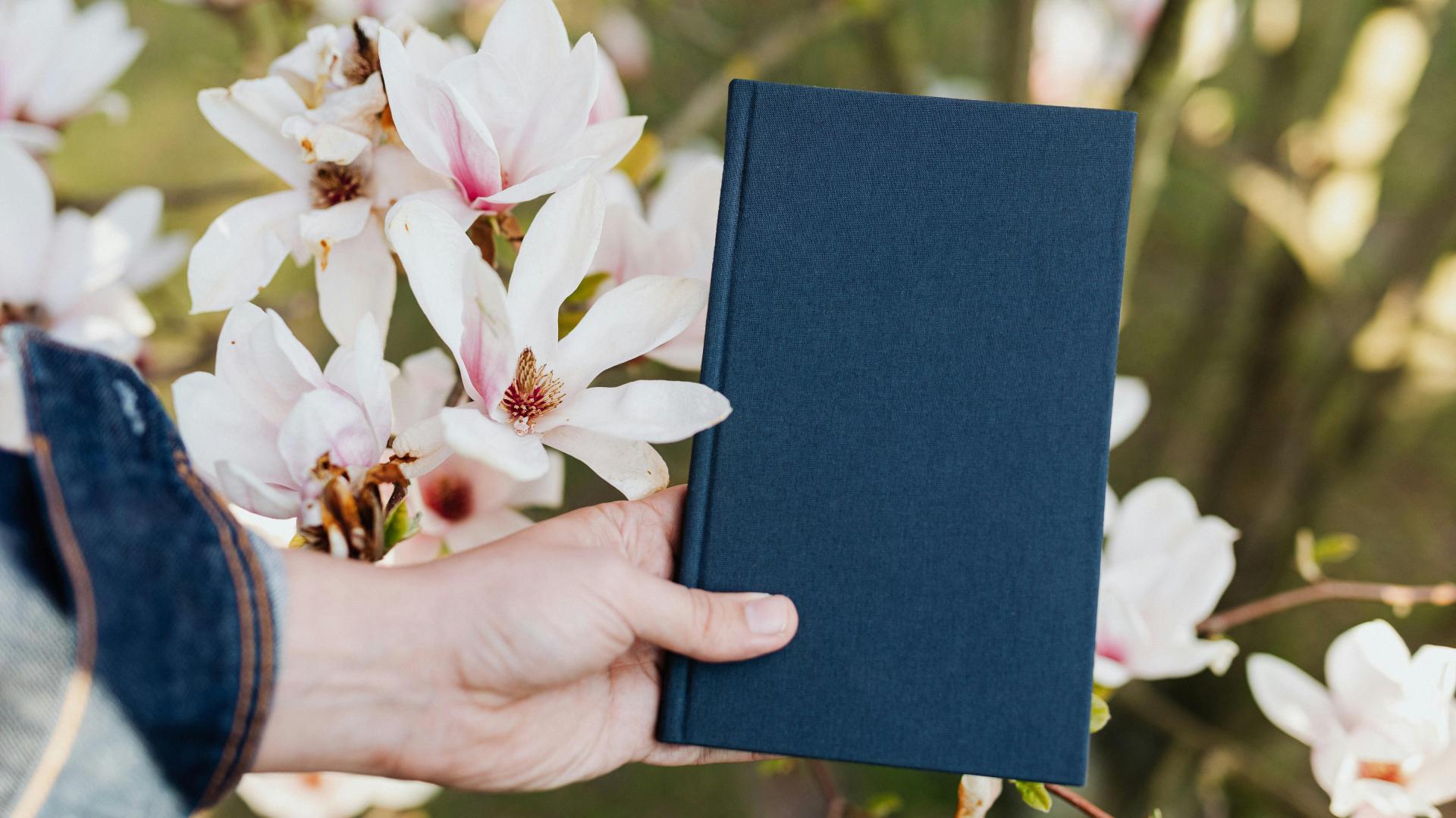 关联公司间自债担保能否成为债权人撤销权的行使对象？