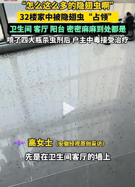 安徽宿州近日，一女子家住32楼，由于最近持续下雨的缘故，在家里发现了大量的隐翅虫