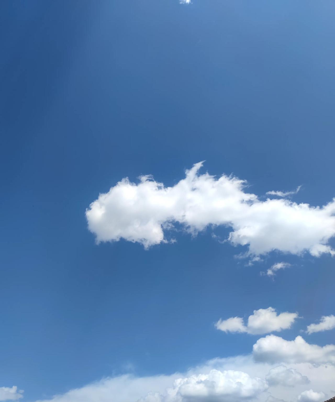 家乡夏日的自然风景。
瓦蓝的天空，洁白无瑕的云朵。
一只不知品种而肥大的黑白色的