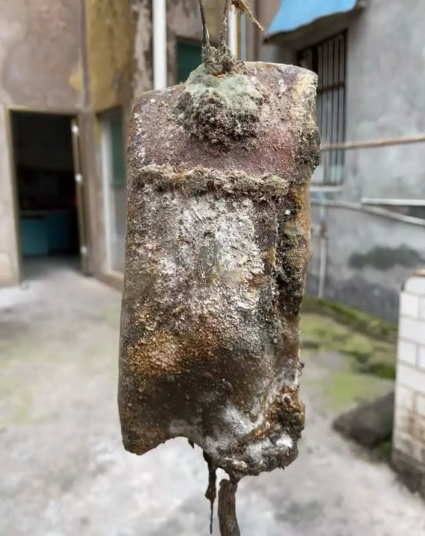 吃了它，明天还能再见吗？