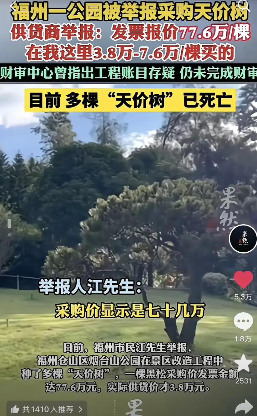 3.8万买的树竟然能报采购价近80万一棵，要不是树的供货商与采购方之间发生债务纠