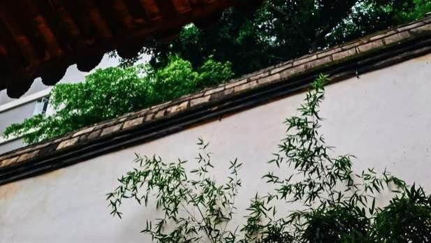 巽卦|唯有深入事物，洞察其规律和弊端才能更有效的应对