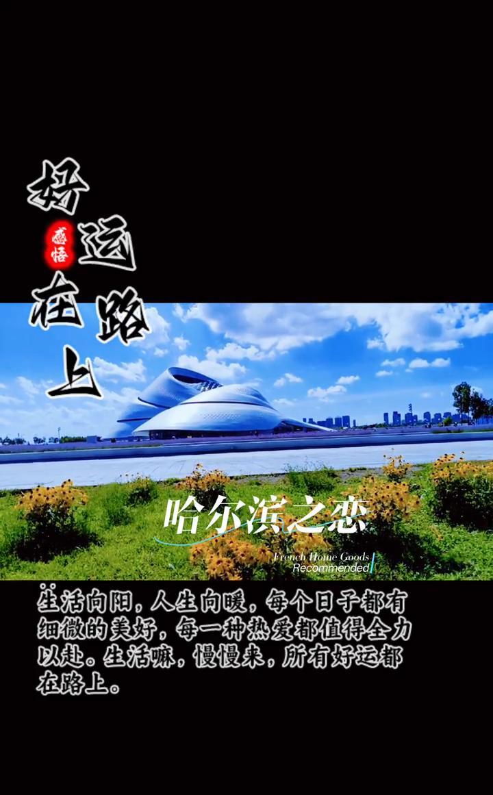 哈尔滨之恋。
生活向阳，人生向暖，每个日子都有细微的美好，每一种热爱都值得全力以