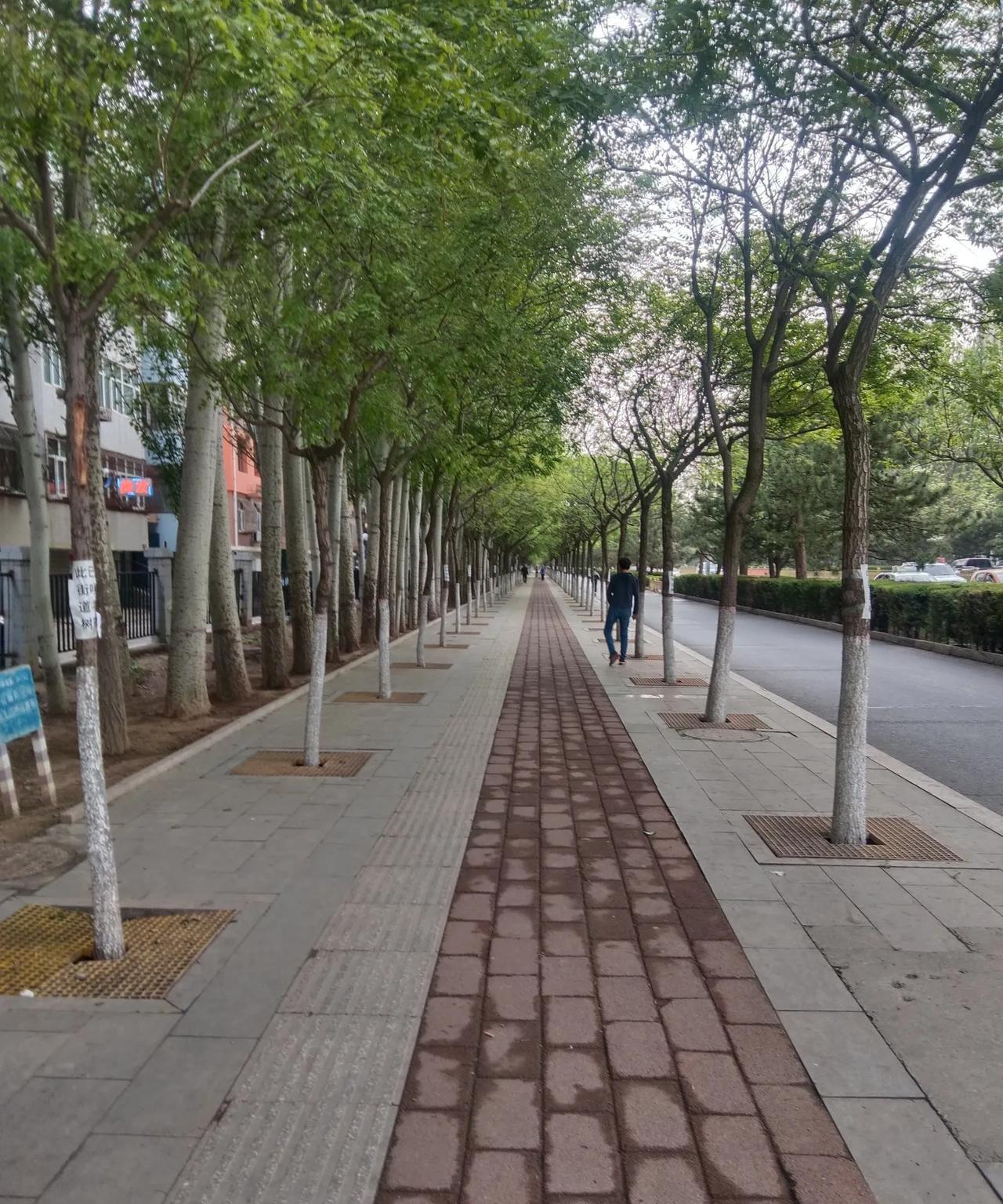 让人放不下的前任，
在感情里都是有点傻气的。
分开愈久，
那份傻气回味起来愈是弥