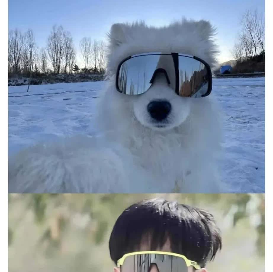 当代网友什么她图都能找到[笑哭]就是找不到对象
是的证据又+1[祝福]
多哈