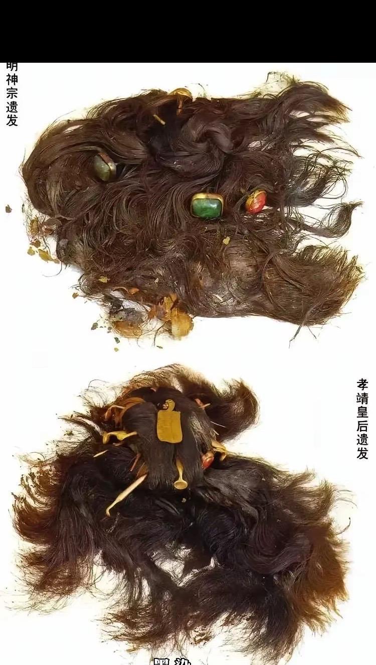 这是万历皇帝和孝靖皇后的头发，出土于定陵，1957年发掘，万历皇帝去世时57岁，