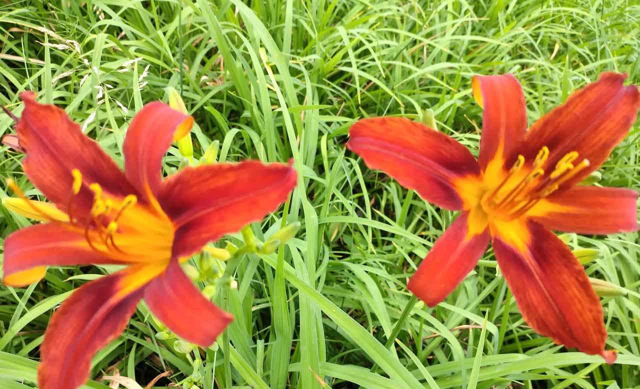 晚上参加完学子宴，和老伴搭公交车回家，车厢里拥挤不堪。

前排空出一个座位，