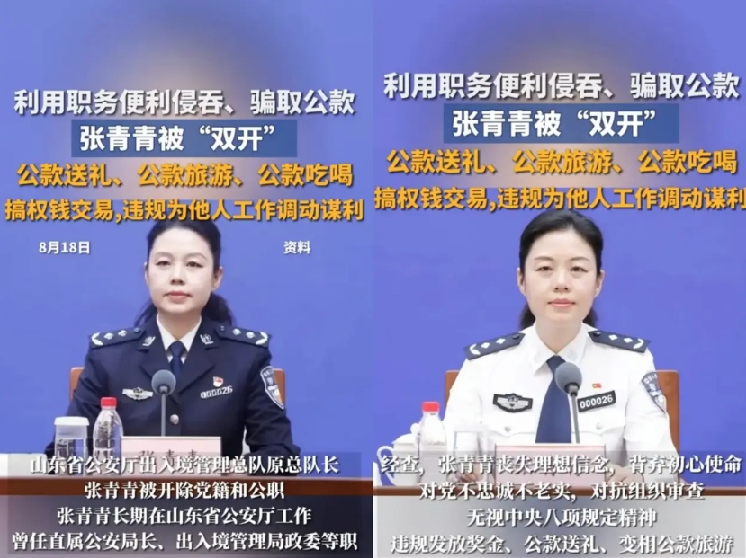 张青青这种握着权、站得高、不缺钱的警官，竟然能把自己活成老百姓最恨的样子。明明该