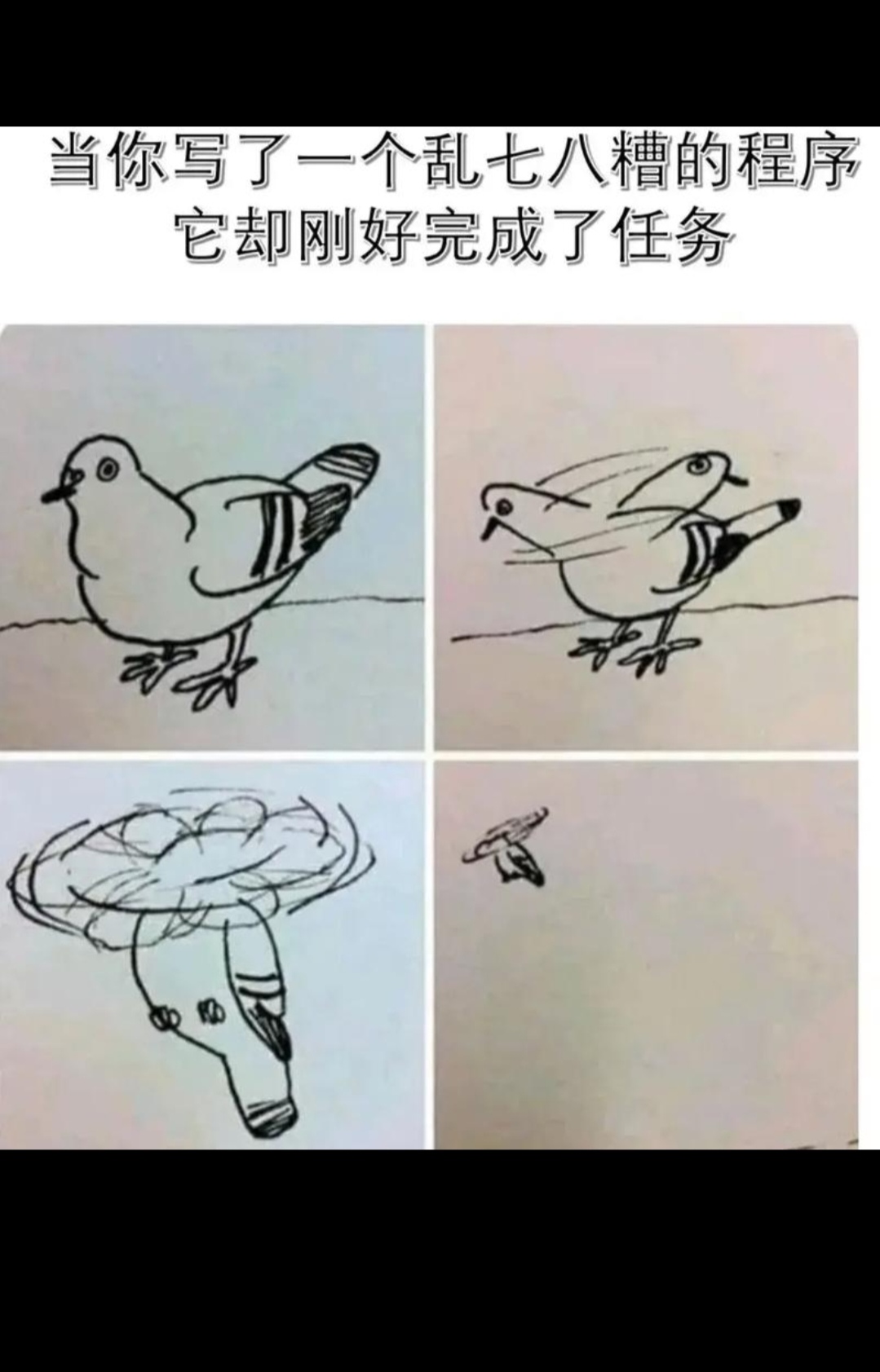 这是什么代码呀