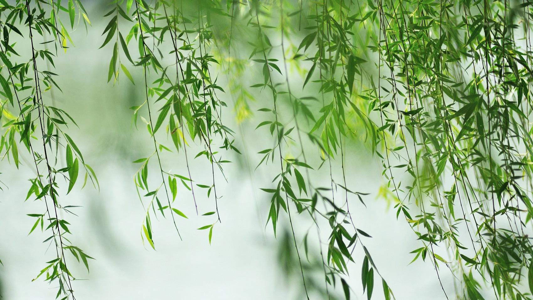 汪缘堂：常见神煞分类之动态与变化系列