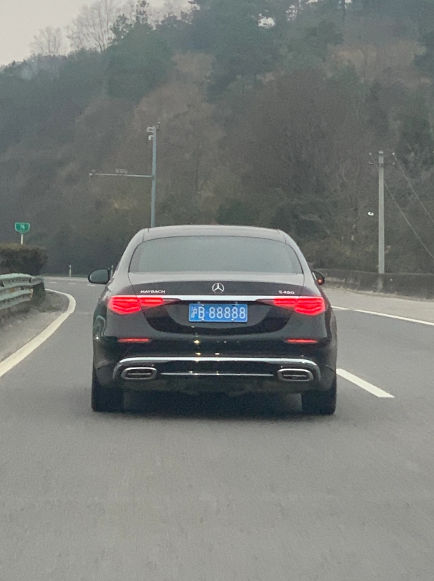 高速遇到，不懂就问这个牌子值多少