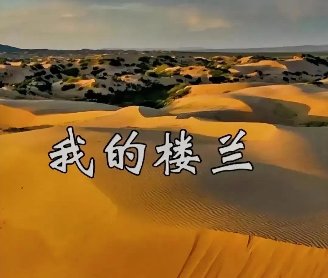 某大某小这一次非常的是非不分，黑白不分，对自己的偶像老刀先生有落井下石之嫌，有人