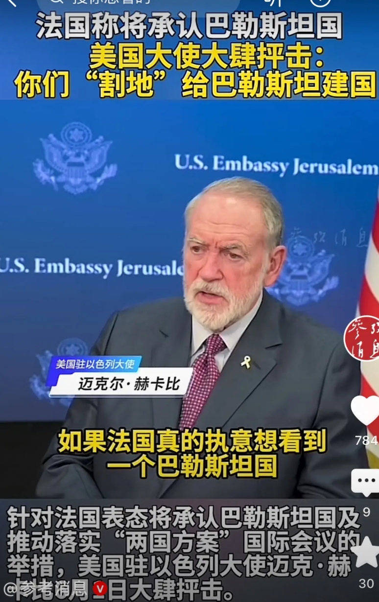 法国的表态将承认巴勒斯坦国及推动落实“两国方案”国际会议的举措，法国的这一句话直
