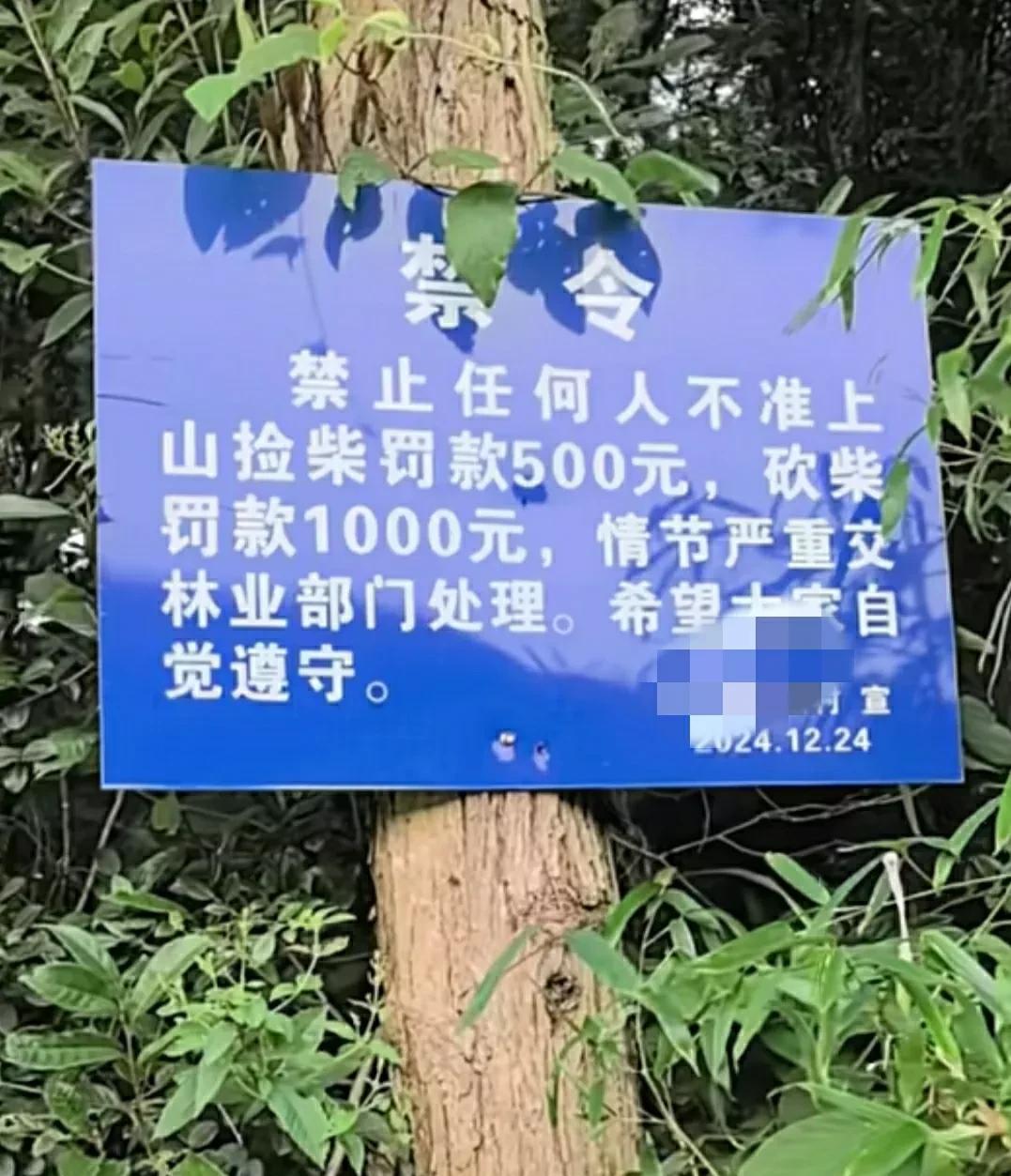 什么水平的人才能拟出这么个禁令牌[捂脸]
先不说该禁令处罚严不严重，单说禁令牌有