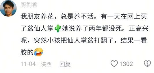 这个最好笑，哈哈