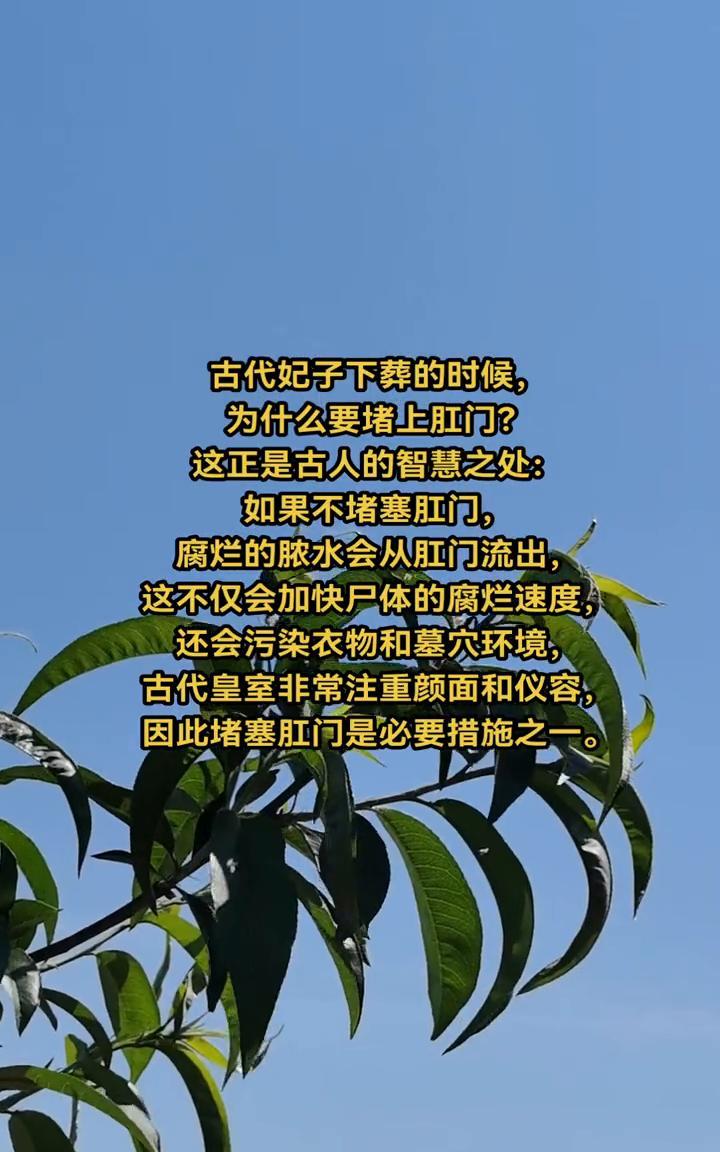 古代妃子下葬的时候为什么要堵上肛门？
这正是古人的智慧之处：如果不堵塞肛门，腐烂