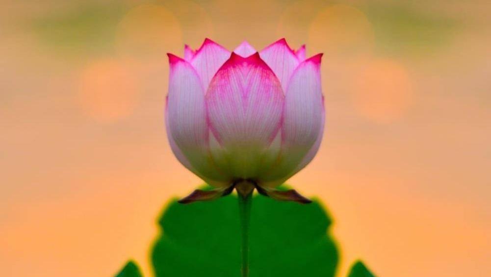 残酷的现实：一个人的福报，其实是有“限度”的