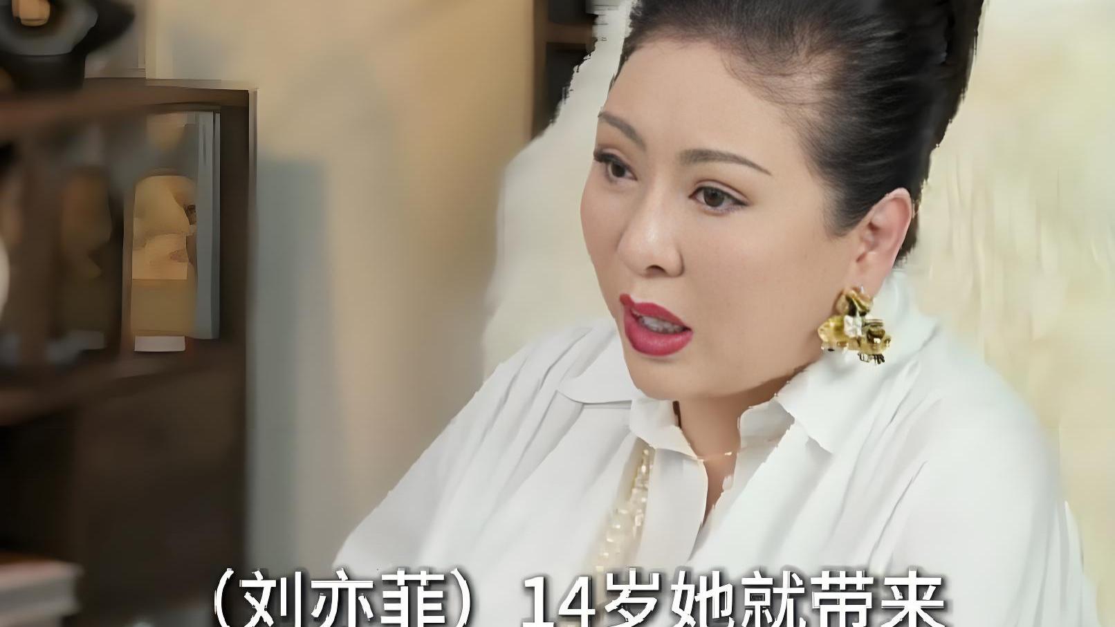 当年因一身名牌被向太拒绝，如今成零差评艺人！刘亦菲的逆袭打了谁的脸？
