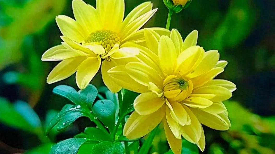 善良要有锋芒，包容要看对谁，懂分寸、知进退，才是真睿智