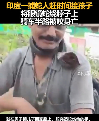 蛇缠脖子赶路，印度男子没了











印度捕蛇人，12年老手竟被蛇咬
