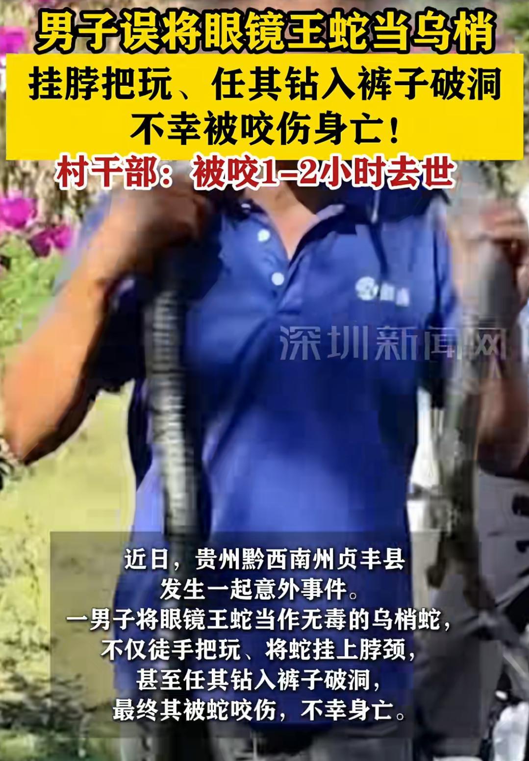 贵州一50岁的男子误将眼镜王蛇当成乌梢蛇，把它挂在身上把玩，结果被眼镜王蛇咬伤身