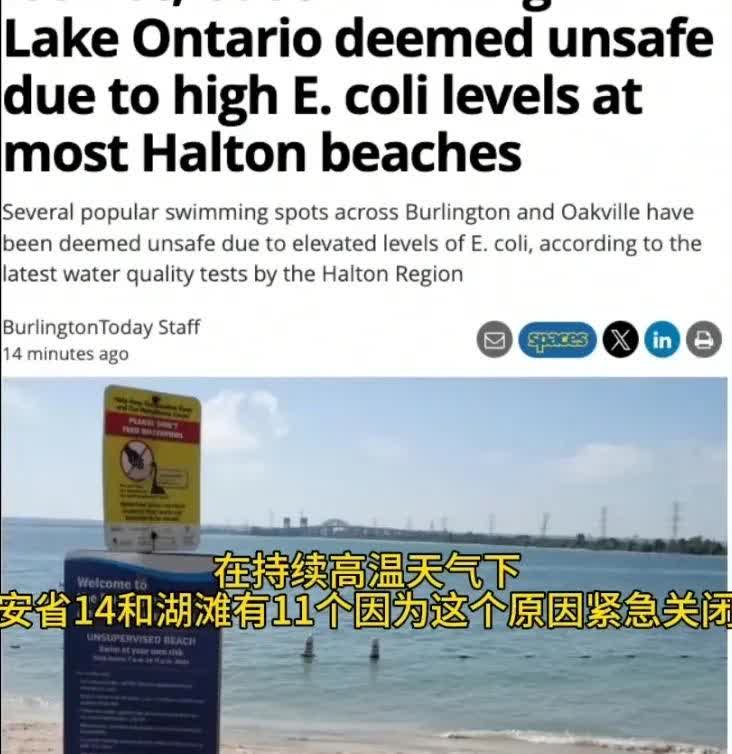 加拿大人好不容易熬过漫长冬季，打算享受夏季的阳光海滩，结果被告知安大略省14个海