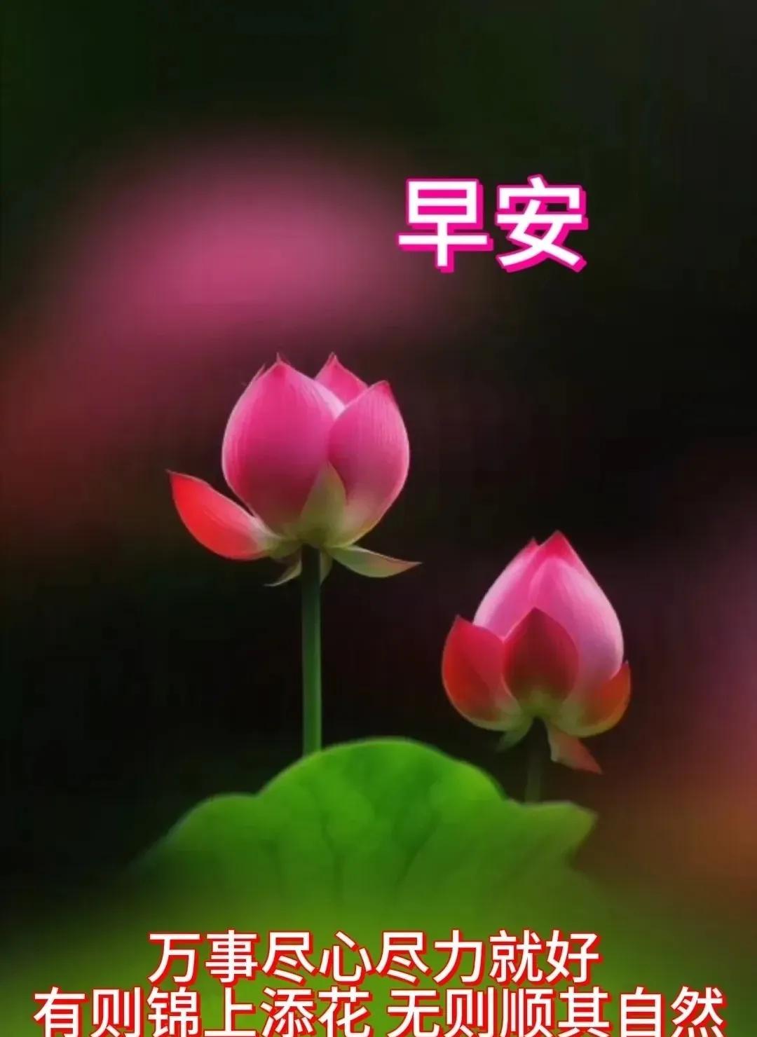 早安您好！福气满满似春潮，事事如意随风舞，笑口常开乐无边。愿往后日子，暖阳满路，