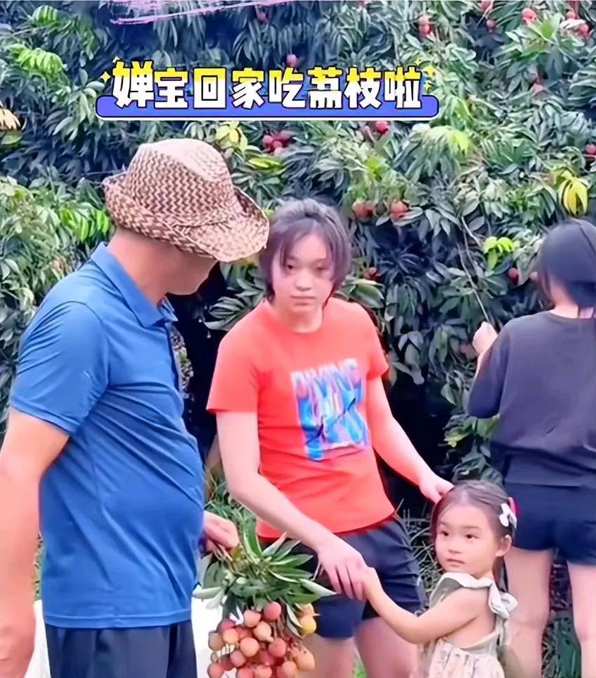 最近，全红婵回家摘荔枝这个新闻火了！
原来之前全红婵受伤了，所以最近养伤，不然估