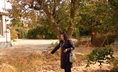 1982年，青海18岁女兵修水管时，挖出2吨银元，她四下张望，确定周围没人后，撒