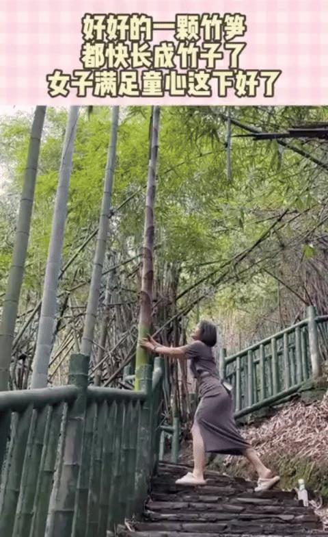 姑娘，劝你善良！它逃过了最危险的时候，它已经不是竹笋了。  看着那原本充满生机的
