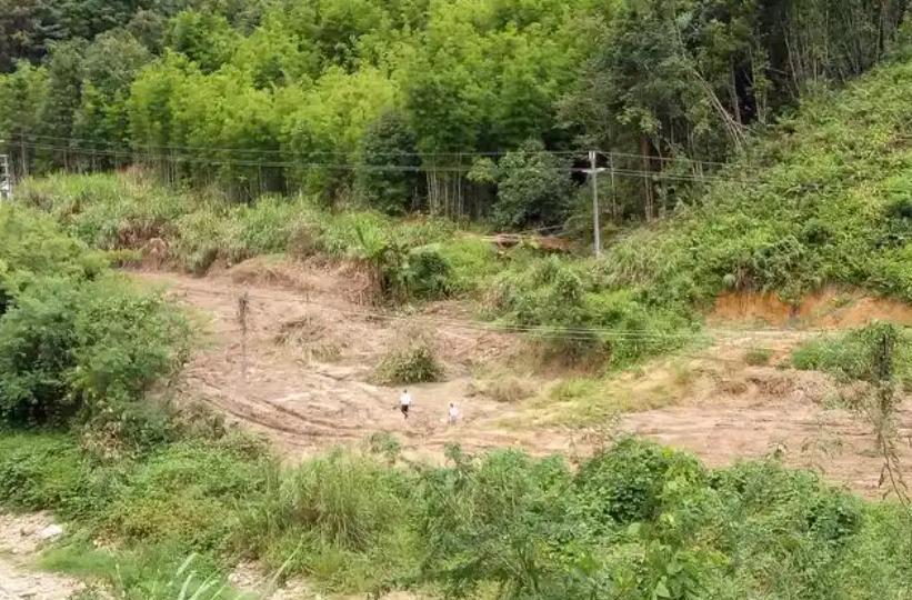 光棍问题还没有解决，农村又出现了6大怪象，让人心酸
6、土地没人种了
现在农村的
